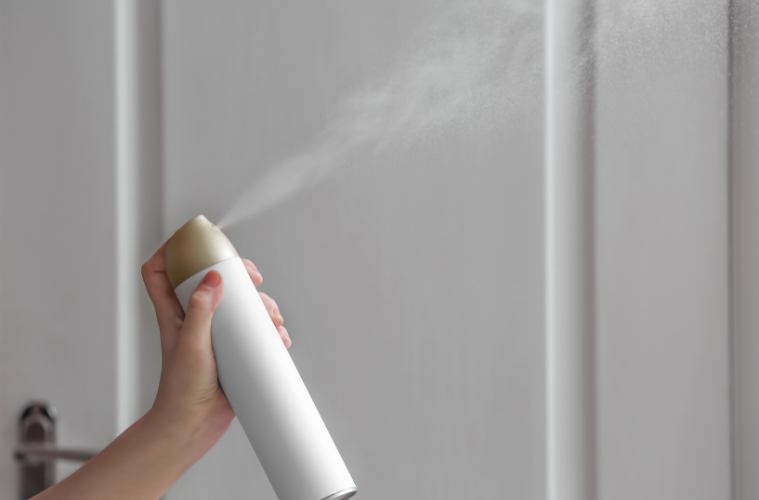 Persistent Odours or Dampness